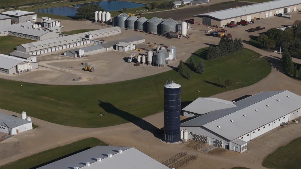 Borderland Manufacturing: Reshaping Business Through Fiber Laser Technology